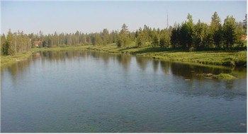 The Buffalo River that borders Ponds Lodge